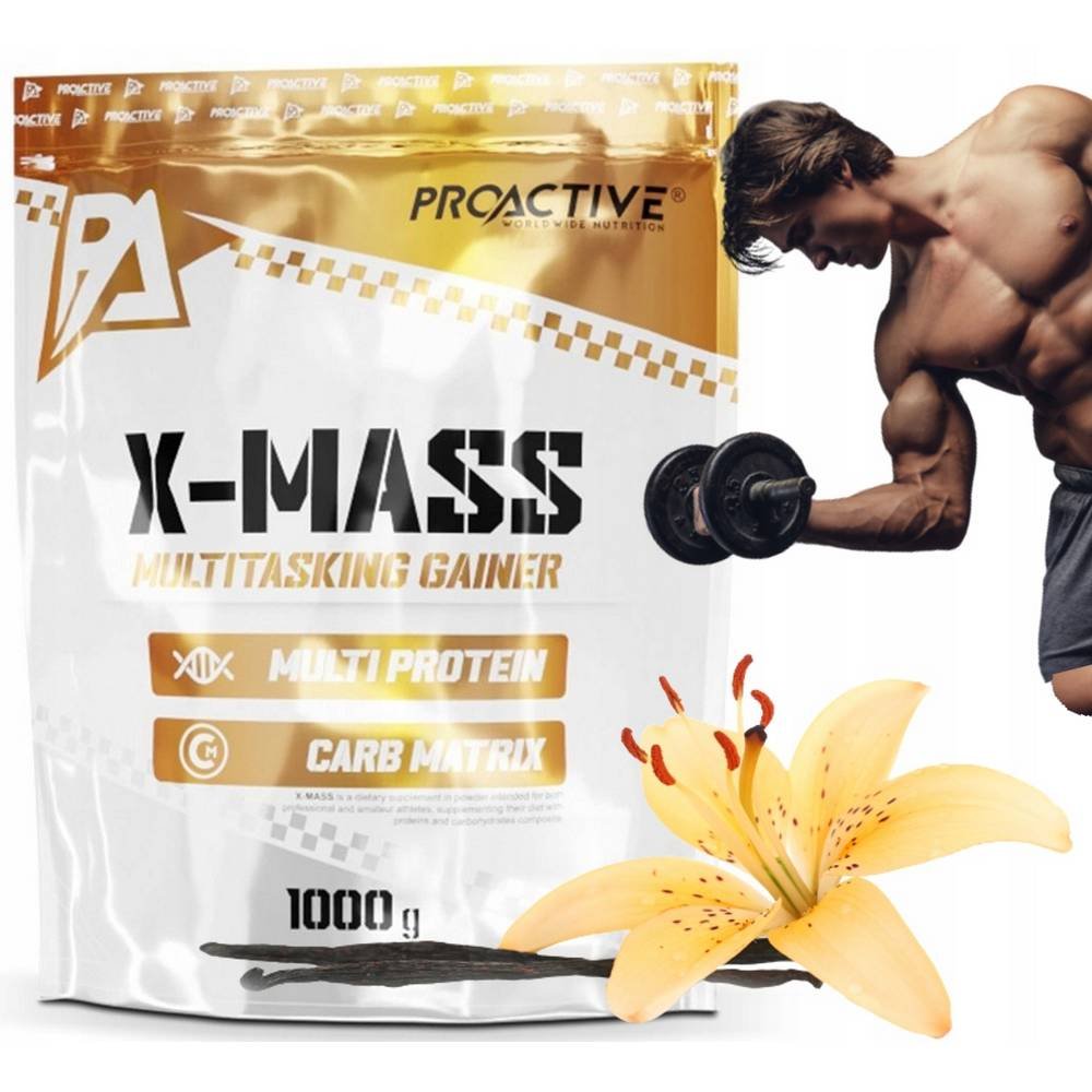 gainer-vanilla-powder-proactive-1000-g